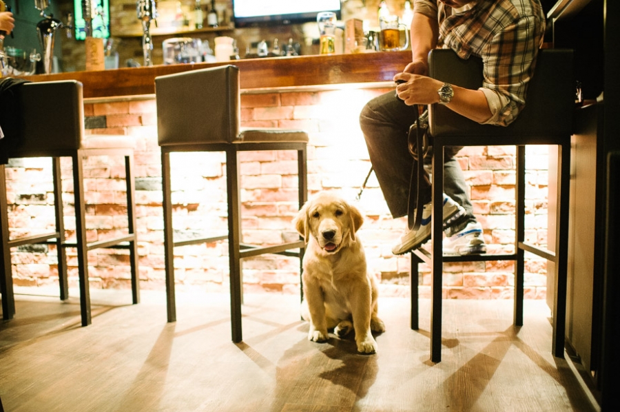 Davod + Julie Wedding!! — photo 15