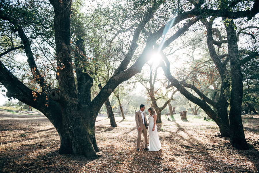 Elliott Brittany Wedding Portrait Shoot in Romona Winery — photo 6
