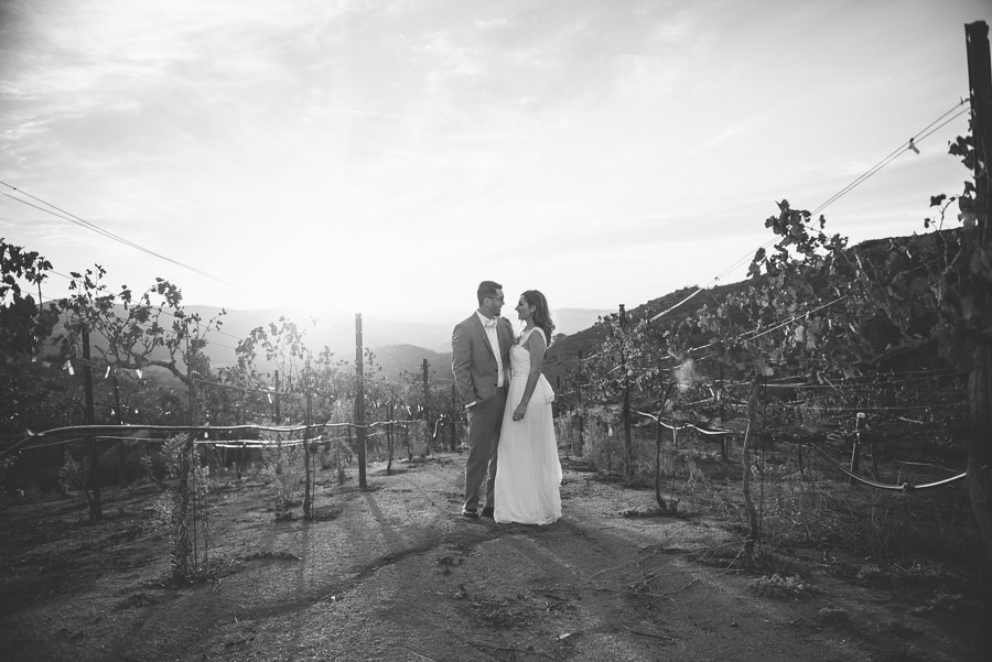 Elliott Brittany Wedding Portrait Shoot in Romona Winery — photo 23