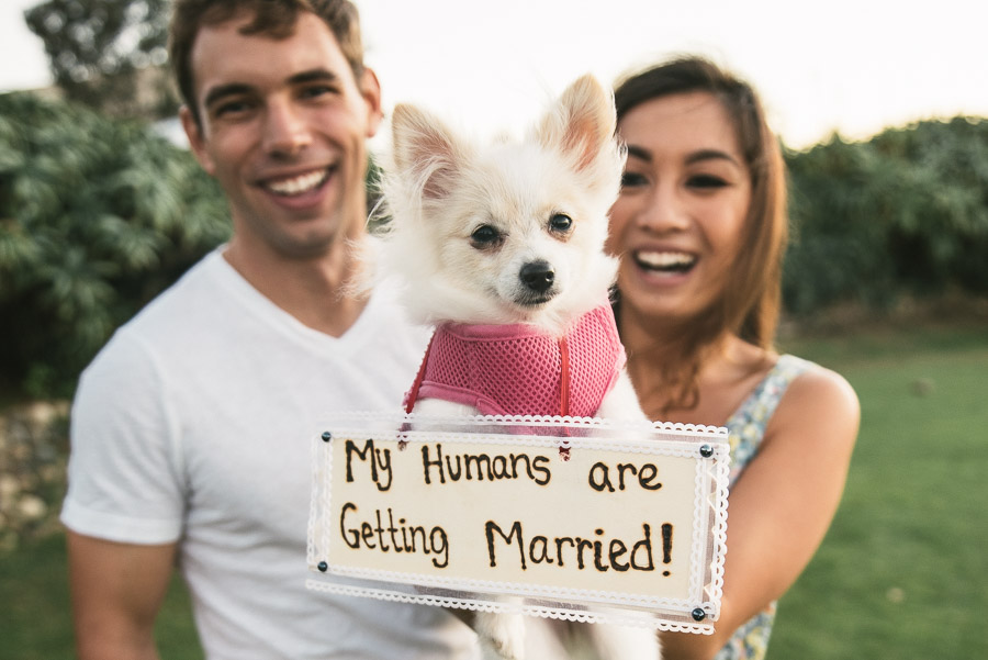 Joe + Van Engagement Shoot at La Jolla — photo 8