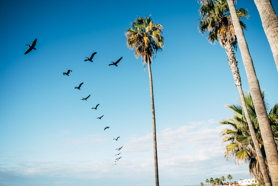 Ko Family Shoot at La Jolla Beach — photo 4