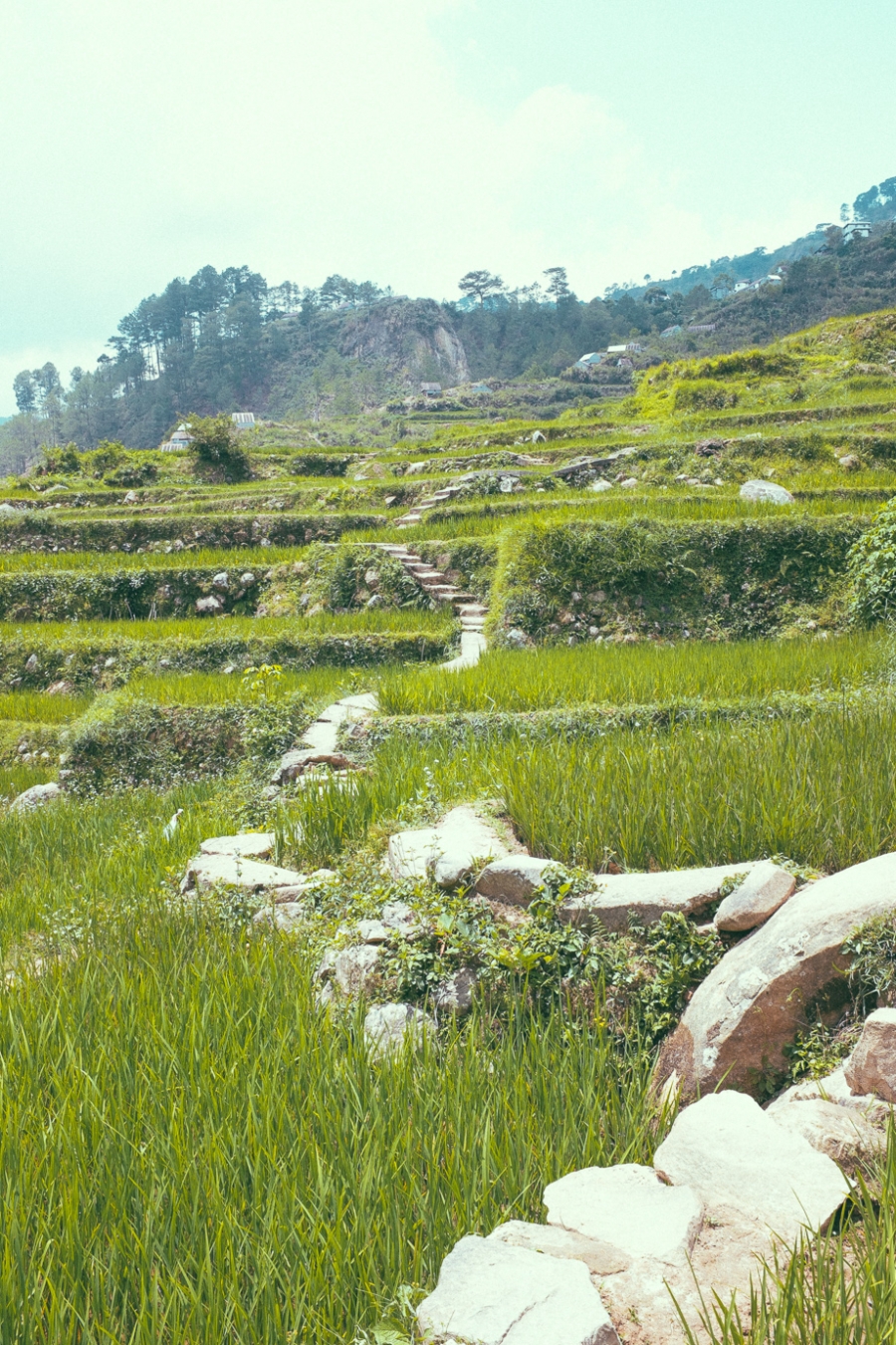 Philippines – Home Away from Home, part 1 Fujifilm x100s — photo 2