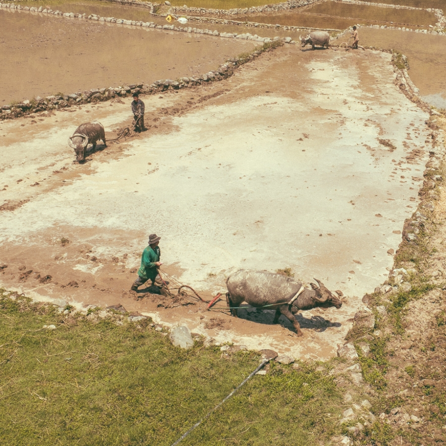 Philippines – Home Away from Home, part 1 Fujifilm x100s — photo 21