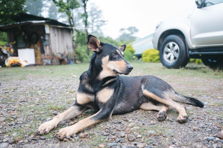 Philippines – Home Away from Home, part 1 Fujifilm x100s — photo 39