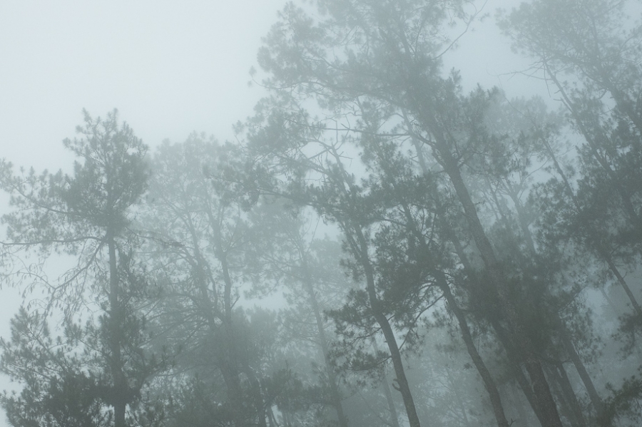 Philippines – Home Away from Home, part 1 Fujifilm x100s — photo 40