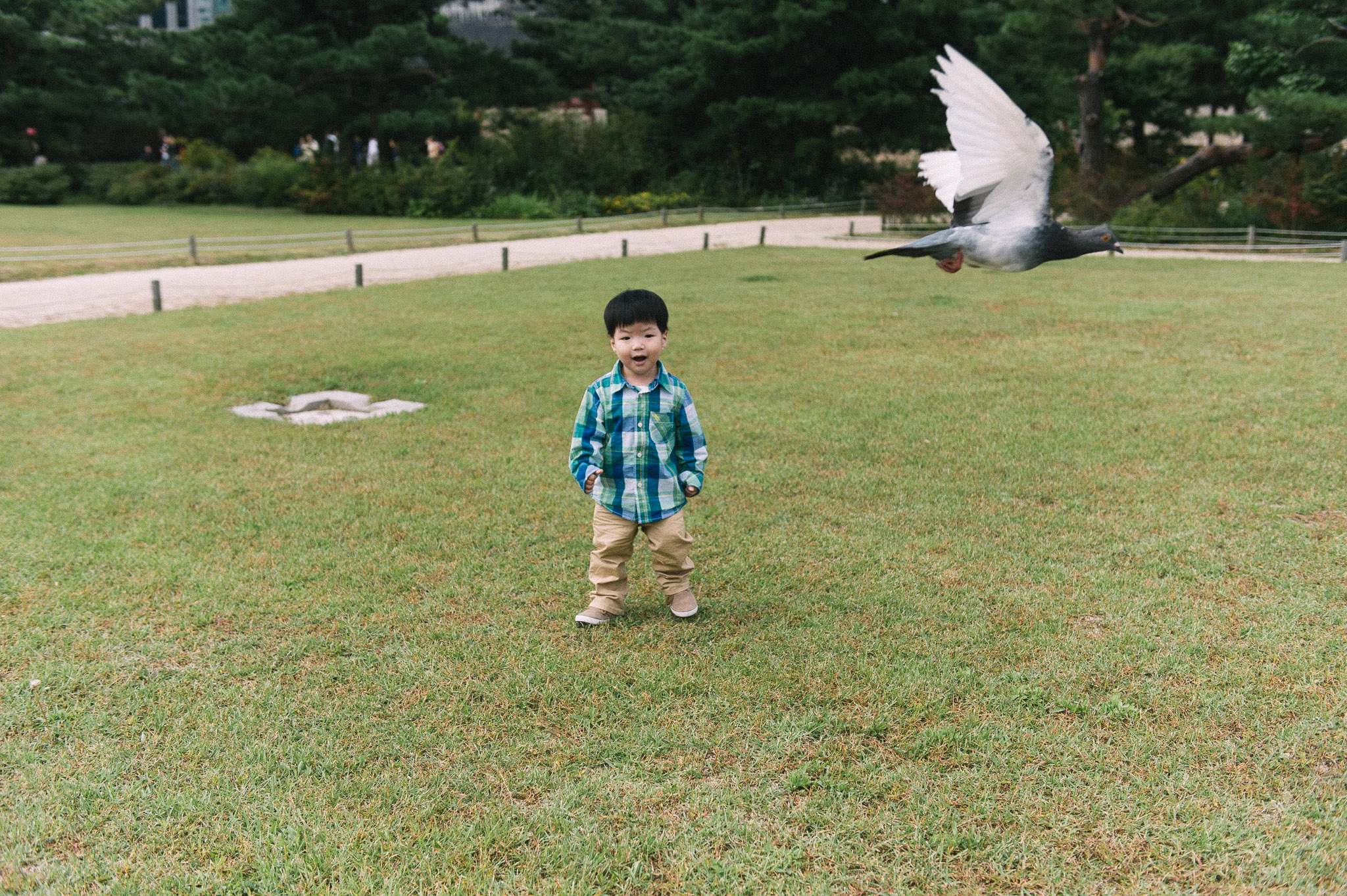 Ludzack-Steffen Family — Family photography