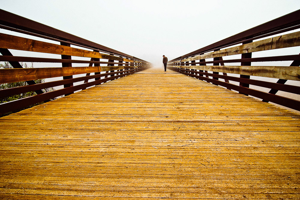 Portrait Collection — photo 3