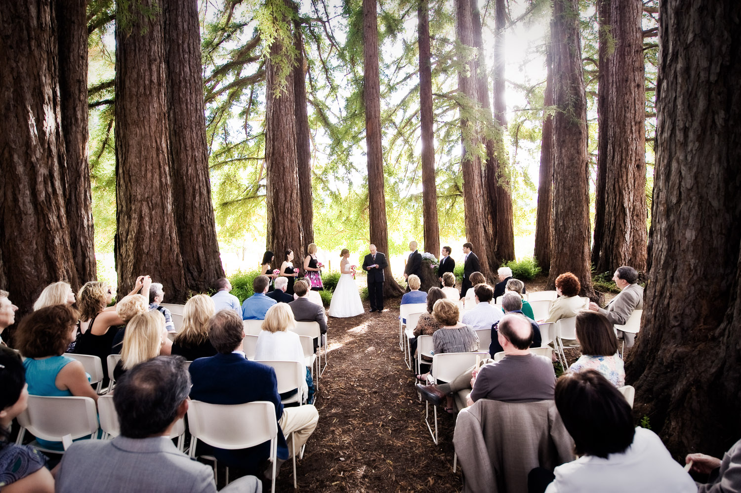 Weddings photography