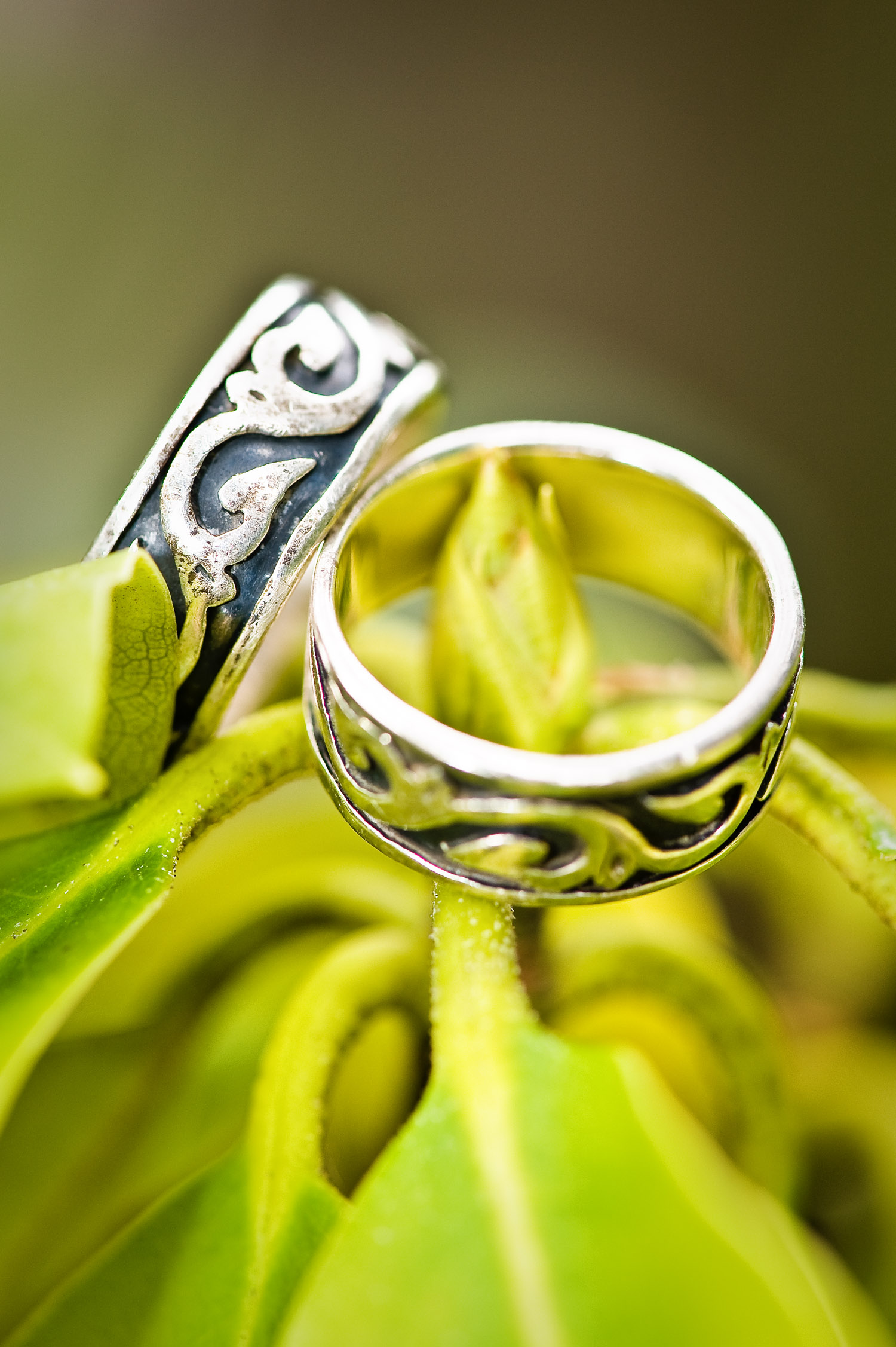 Adam & Julie — photo 3