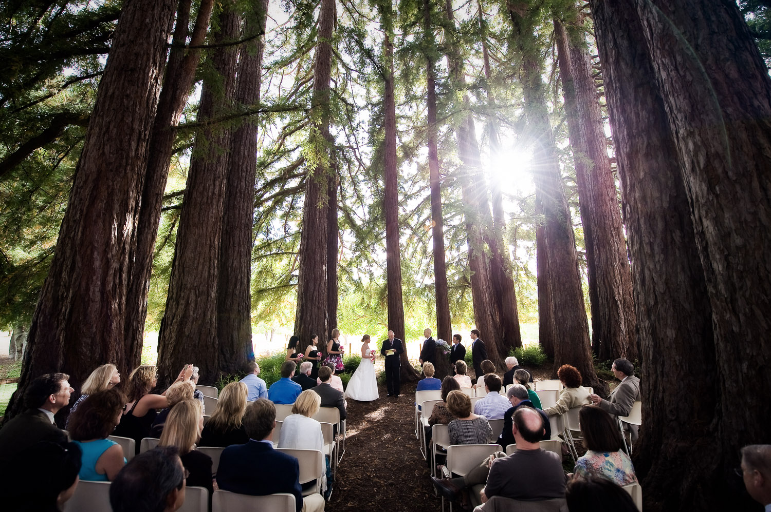 Wedding Moments — photo 9