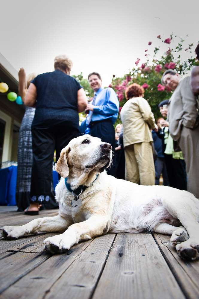 Wedding Moments — photo 13